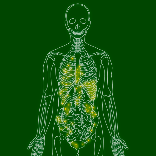 PSMA PET Scan graphic